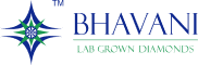 bhavanilogo